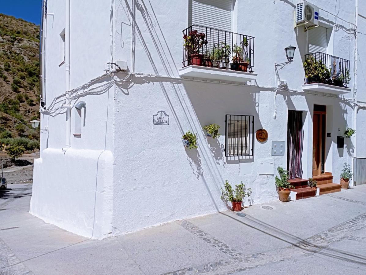 El Almendro De Maruja Lejlighed Torviscón Eksteriør billede