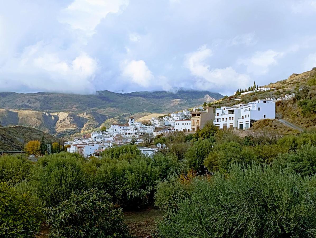 El Almendro De Maruja Lejlighed Torviscón Eksteriør billede